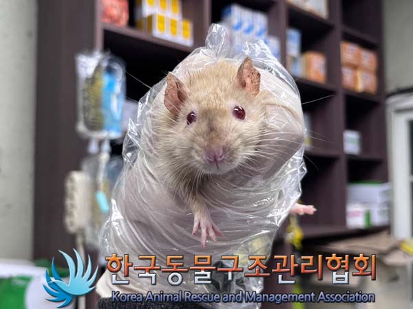 한국동물구조관리협회_411311202400759